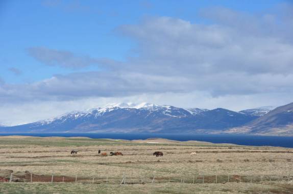 Paisagem da estrada que corta o norte da Islândia, entre Akureyri e a capital Reykjavik